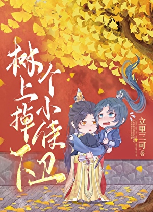 树上掉下个小侍卫