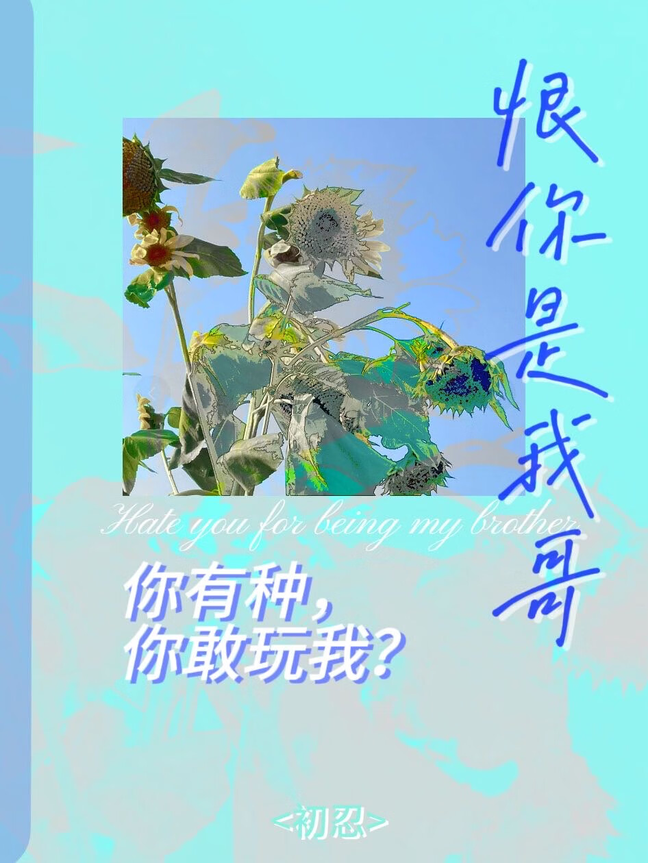 恨你是我哥[免费文]