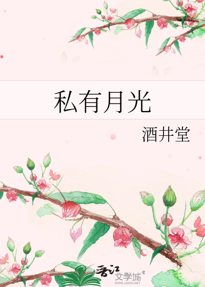 私有月光