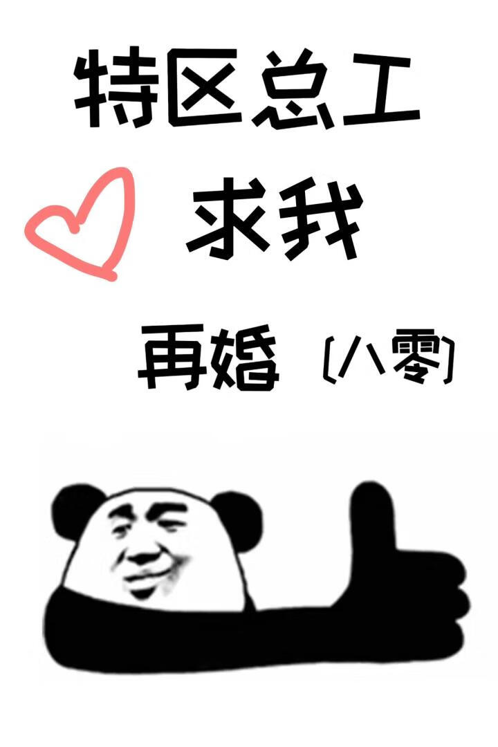 特区总工求我再婚[八零]