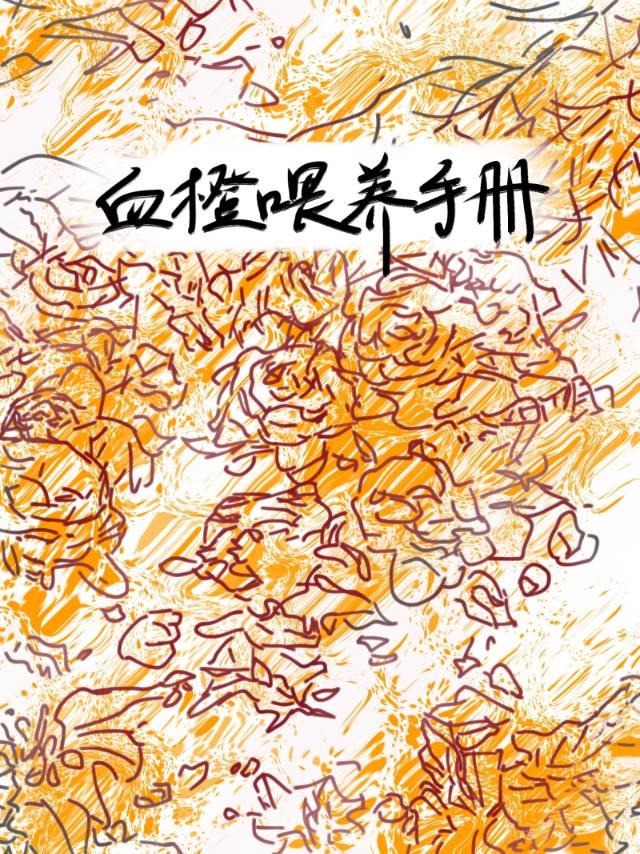 血橙喂养手册