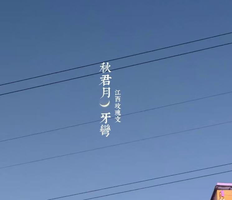 穿书后成为病娇师尊金丝雀