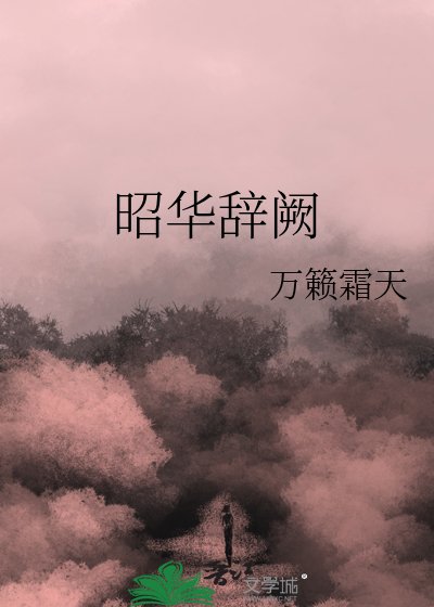 昭华辞阙