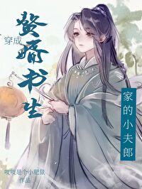 赘婿书生家的小夫郎