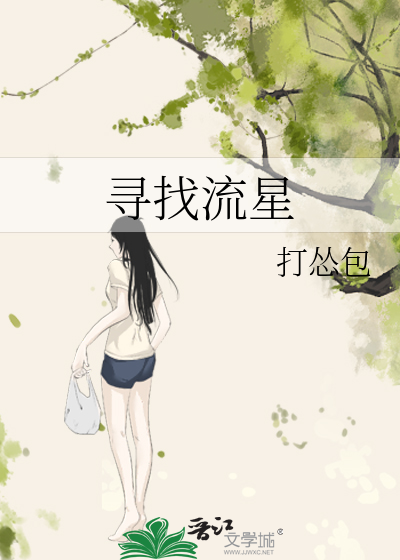 寻找流星