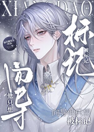 向导他只想被标记