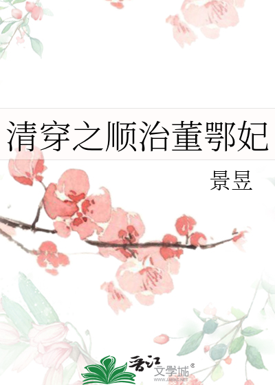 清穿之顺治董鄂妃