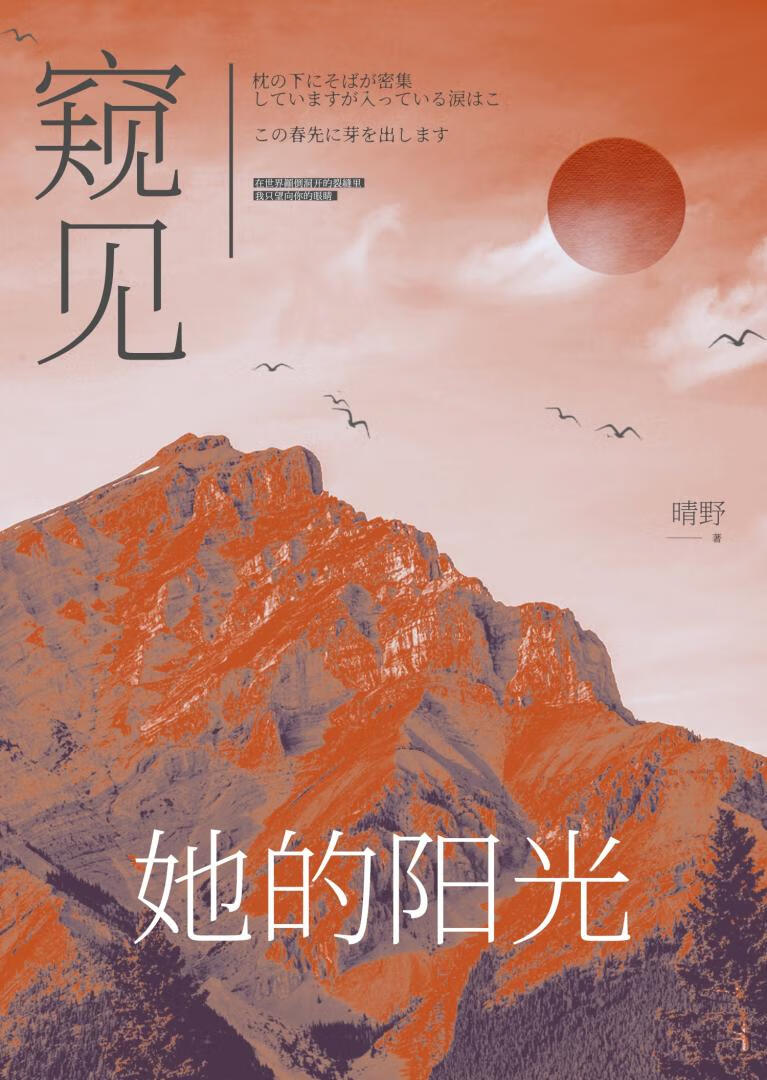 窥见她的阳光[gb]