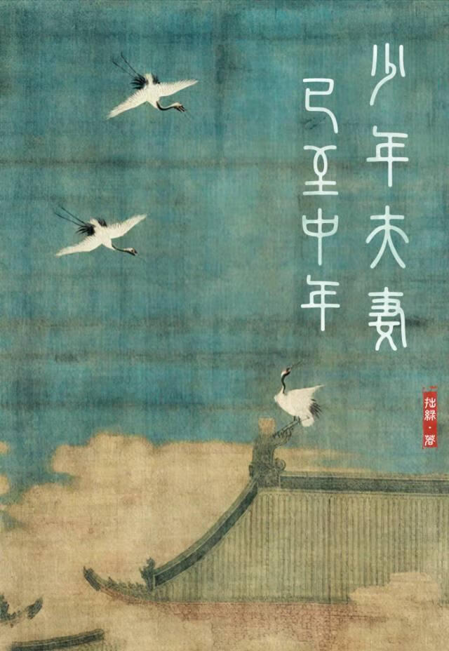 少年夫妻已至中年