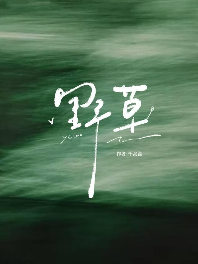 [樊振东]野草