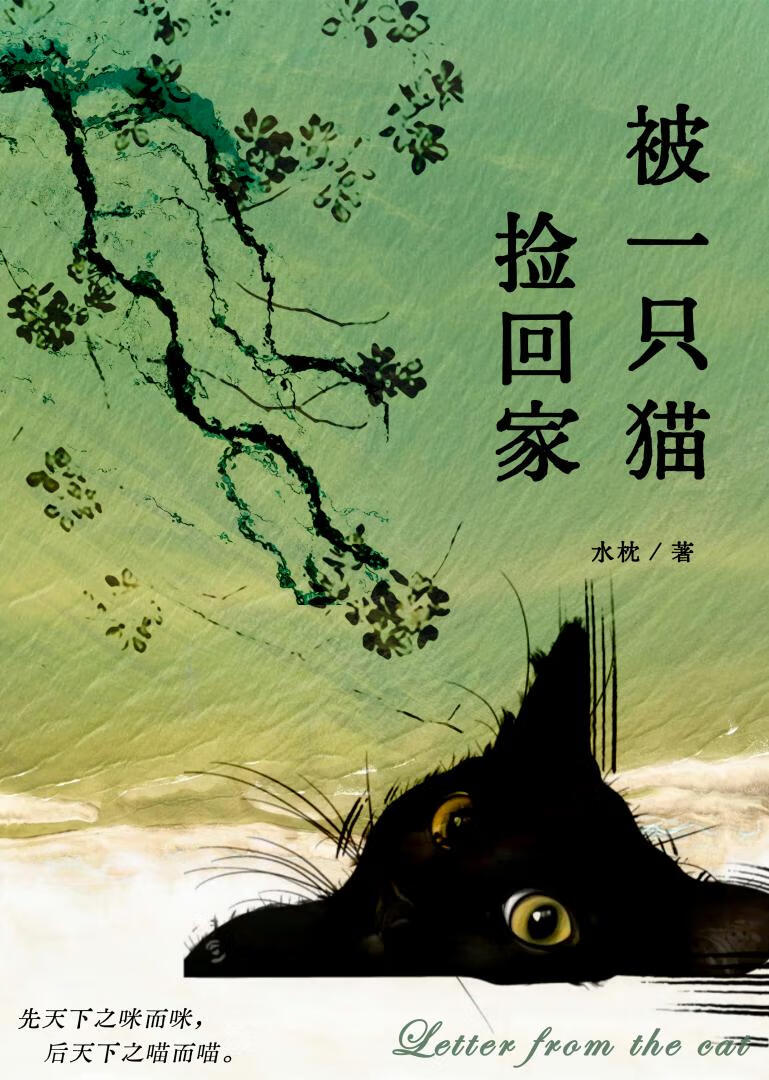 不猫之地