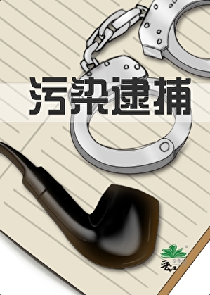污染逮捕！暴娇老婆再爱我一次～