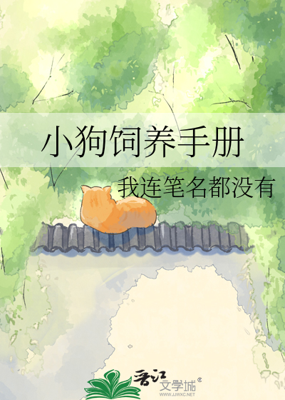 小狗饲养手册