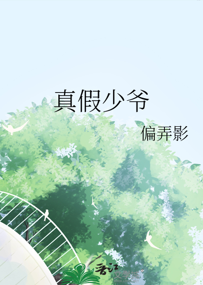 真假少爷