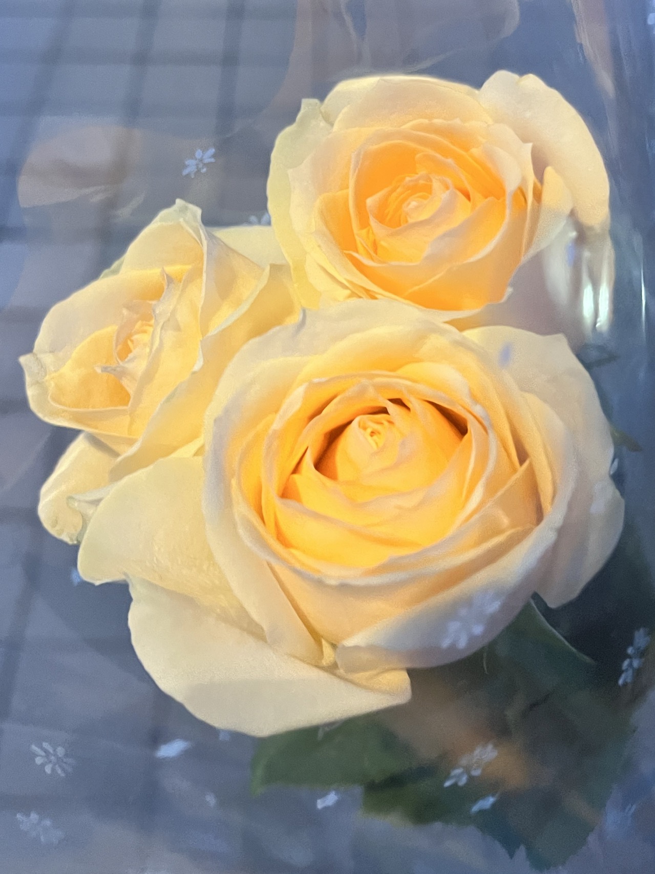 师兄你先别寻死