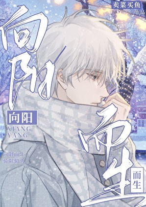 向阳而生