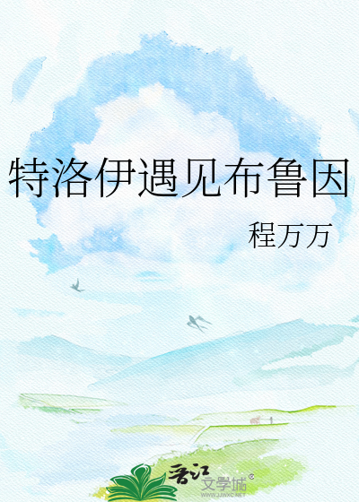 特洛伊遇见布鲁因