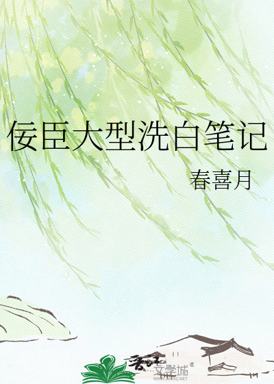 佞臣大型洗白笔记