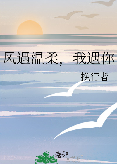 风遇温柔，我遇你