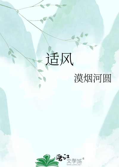 适风