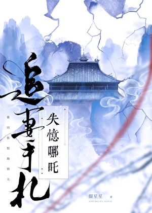 失忆哪吒追妻手札