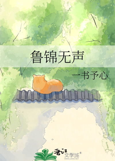 鲁锦无声