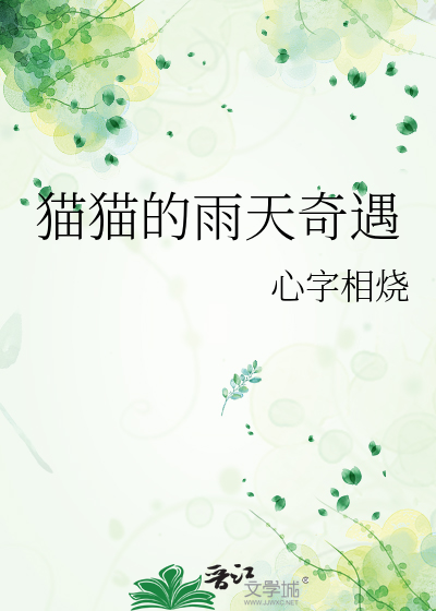 猫猫的雨天奇遇