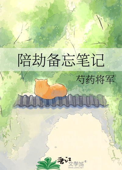 陪劫备忘笔记