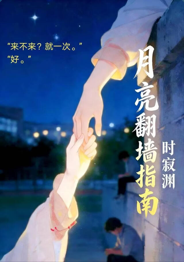 月亮翻墙指南