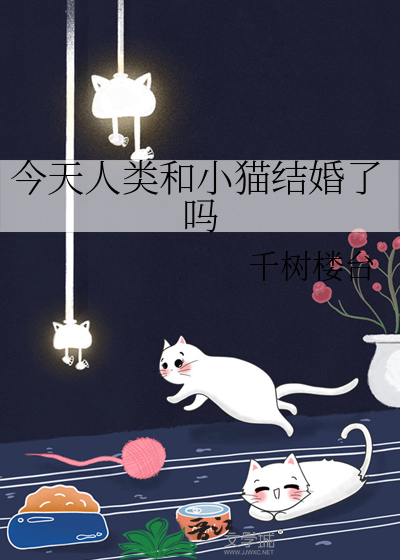 今天人类和小猫结婚了吗
